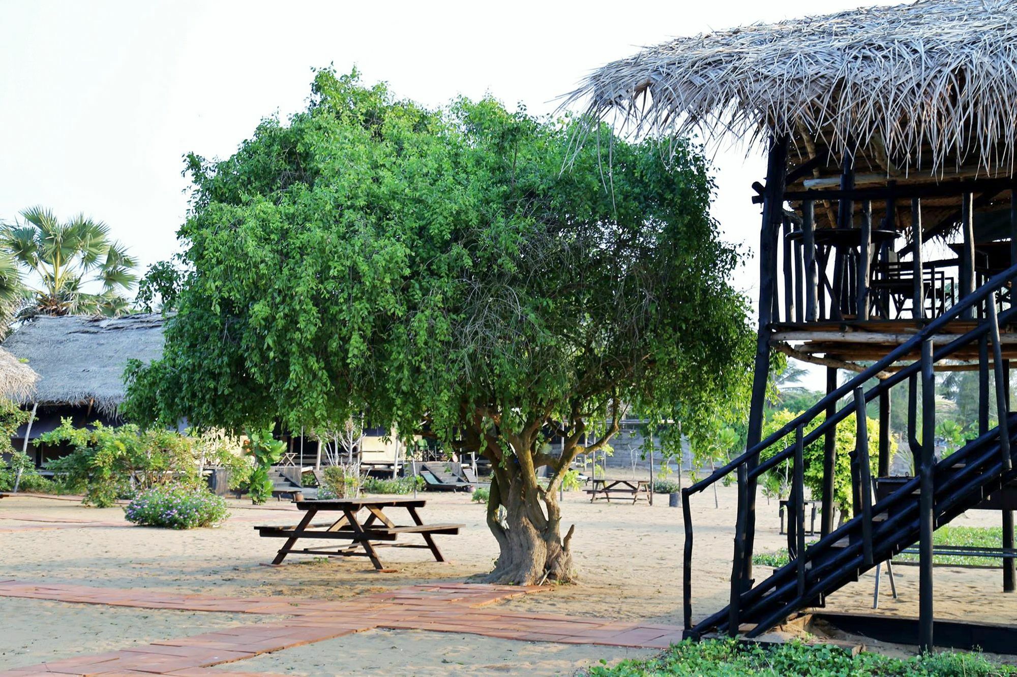 The Beach Camp Yala Kirinda  Eksteriør bilde